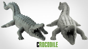 Crocodiles